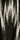 $B1s%/5o%kB8:_%rA[%$(J