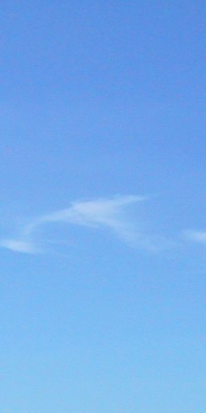 skyblue