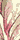 $B!V<k?}!W88A[%N1):,(J
